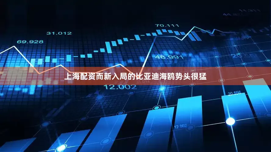 上海配资而新入局的比亚迪海鸥势头很猛
