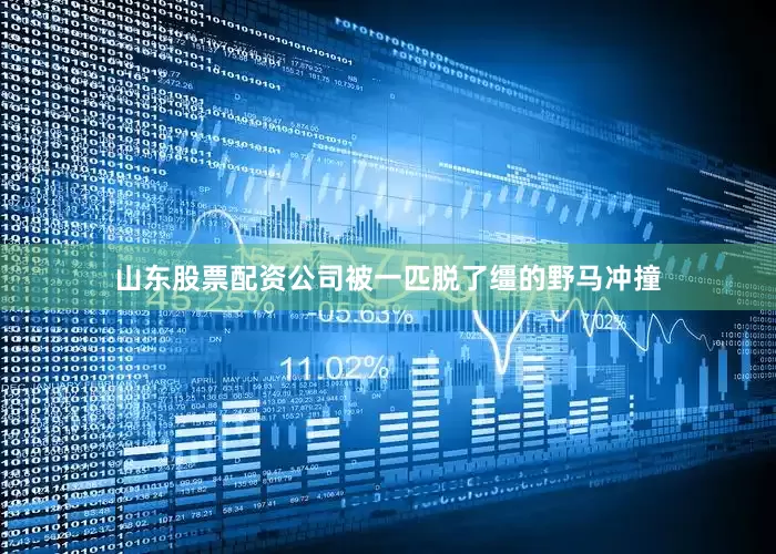 山东股票配资公司被一匹脱了缰的野马冲撞