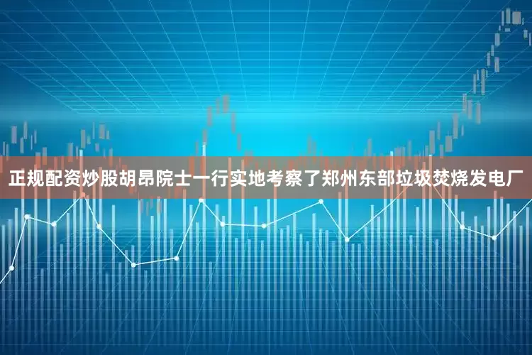 正规配资炒股　　胡昂院士一行实地考察了郑州东部垃圾焚烧发电厂
