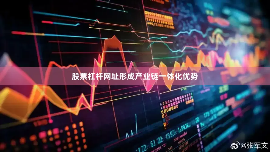 股票杠杆网址形成产业链一体化优势